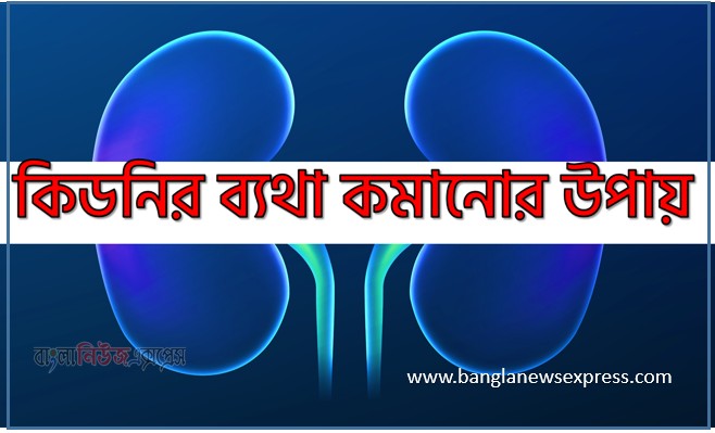 কিডনির ব্যথা কমানোর উপায়,Kidney Pain Relief at Home