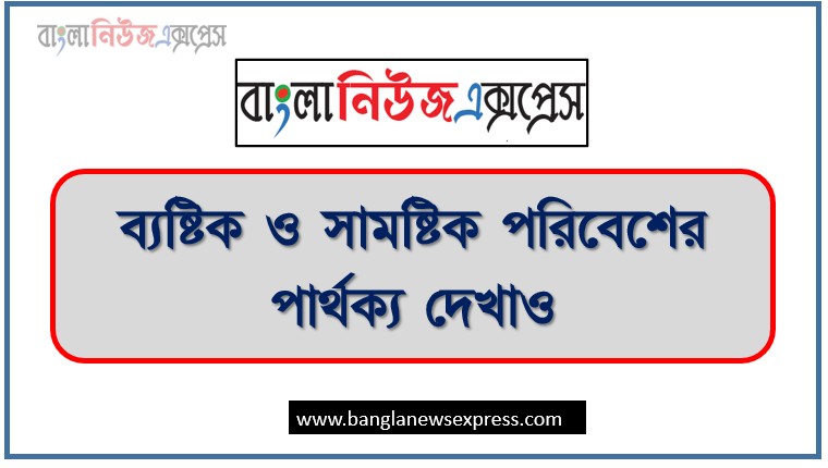 Home 20 ব্যষ্টিক পরিবেশ ও সামষ্টিক পরিবেশের মধ্যে পার্থক্যগুলো লেখ,ব্যষ্টিক ও সামষ্টিক পরিবেশের পার্থক্য দেখাও