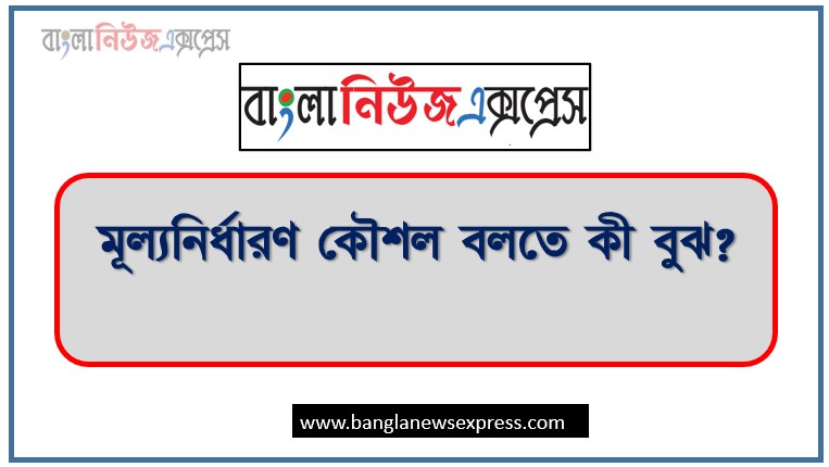 মূল্যনির্ধারণ কৌশল বলতে কী বুঝ?